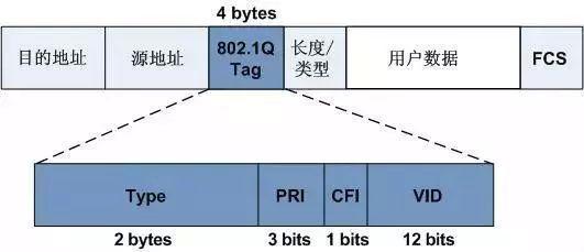 青青草原破解版的VLAN技术